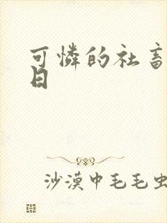 可怜的社畜东度日