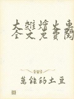 大杂烩火车小说全文免费阅读