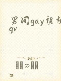 男同gay视频gv