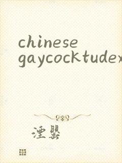 chinesegaycocktudexxx