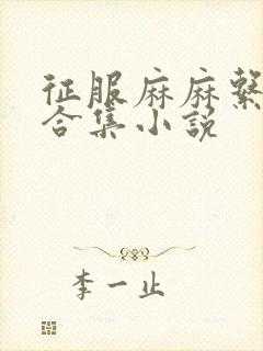 征服麻麻系列大合集小说封面