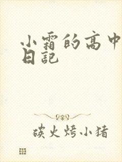 小霜的高中成长日记