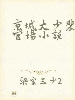京城大少裴靖泽官场小说封面