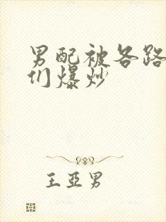 男配被各路大佬们爆炒封面