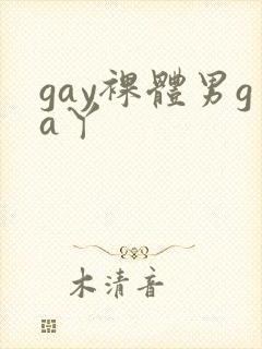 gay裸体男ga丫