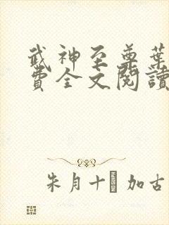 武神至尊叶风免费全文阅读无弹窗