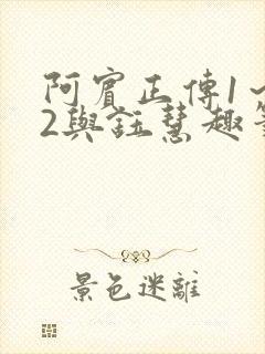 阿宾正传1～72与钰慧趣笔阁