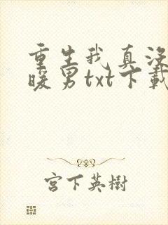 重生我真没想当暖男txt下载