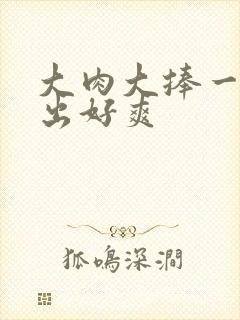 大肉大捧一进一出好爽封面