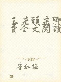 王老头宋卿安免费全文阅读最新章节封面