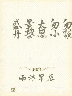 盛景太匆匆沈砚舟黎思小说
