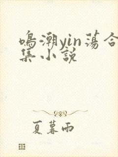 鸣潮yin荡合集小说