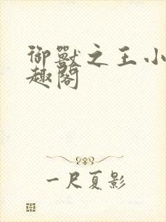 御兽之王小说笔趣阁