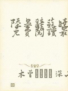 陆晏辞苏晓小说免费阅读最新章节封面