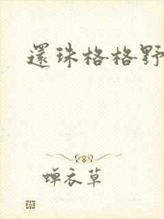 还珠格格野传封面