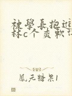 被学长抱进小树林c个爽软件