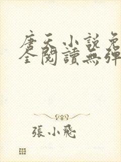 唐天小说免费大全阅读无弹窗