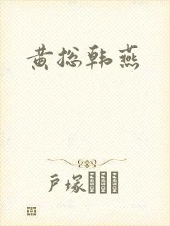 黄总韩燕封面