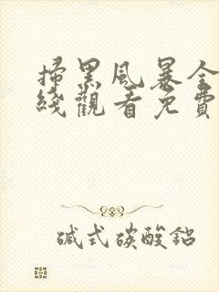 扫黑风暴全集在线观看免费完整版星辰