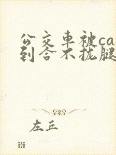 公交车被cao到合不拢腿视频