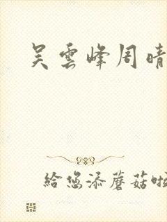 吴云峰周晴小说