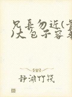 兄长勿近(骨科)大包子容华