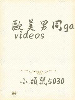 欧美男同gay videos