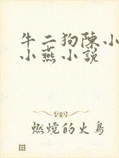 牛二狗陈小风陈小燕小说