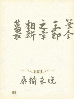 万相之王笔趣阁最新章节全文阅读