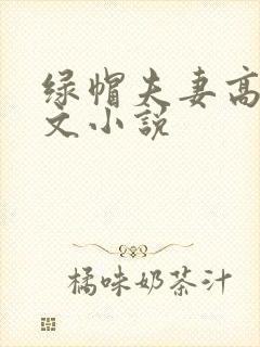 绿帽夫妻高辣h文小说