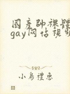 国产帅裸体男模gay网站视频