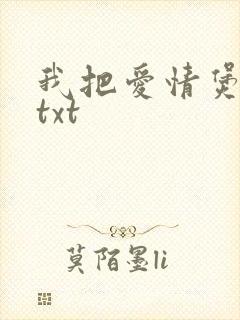 我把爱情煲成汤txt