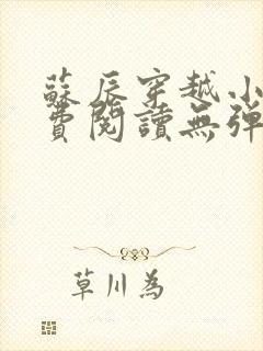 苏辰穿越小说免费阅读无弹窗