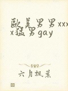 欧美男男xxxx猛男gay