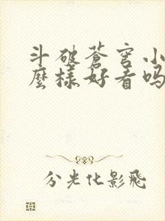 斗破苍穹小说怎么样好看吗封面