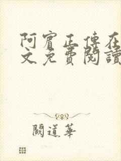 阿宾正传在线全文免费阅读无删减