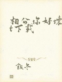 相公你好坏txt下载