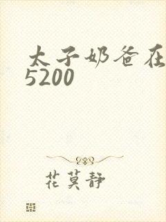 太子奶爸在花都5200封面