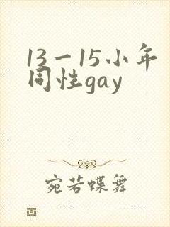 13一15小年同性gay封面
