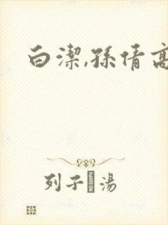 白洁,孙倩高义封面