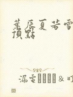 叶辰夏若雪孙怡顶点