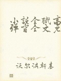 小说全职高手无弹窗全文免费阅读封面