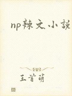 np辣文小说封面