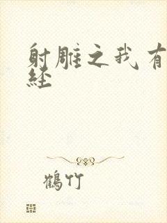 射雕之我有太玄经