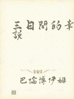 三日间的幸福小说封面