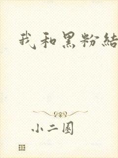 我和黑粉结婚了封面
