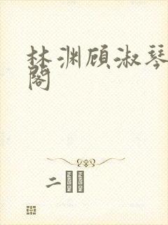 林渊顾淑琴笔趣阁封面