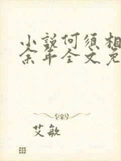 小说何须相思煮余年全文免费阅读封面