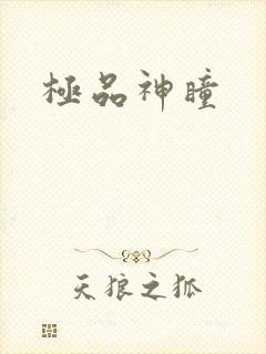 极品神瞳