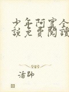 少年阿宾全文小说免费阅读笔趣阁